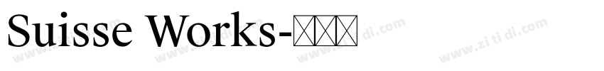 Suisse Works字体转换